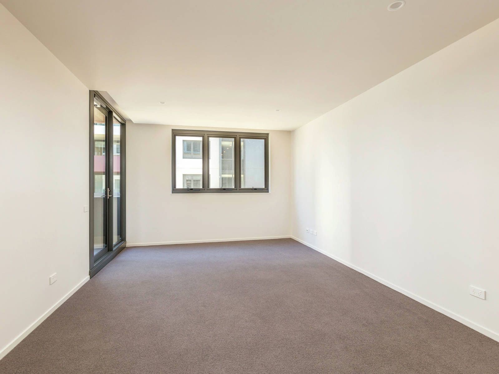 53 Mort Street, Braddon ACT 2612, Braddon - Thumbnail 3