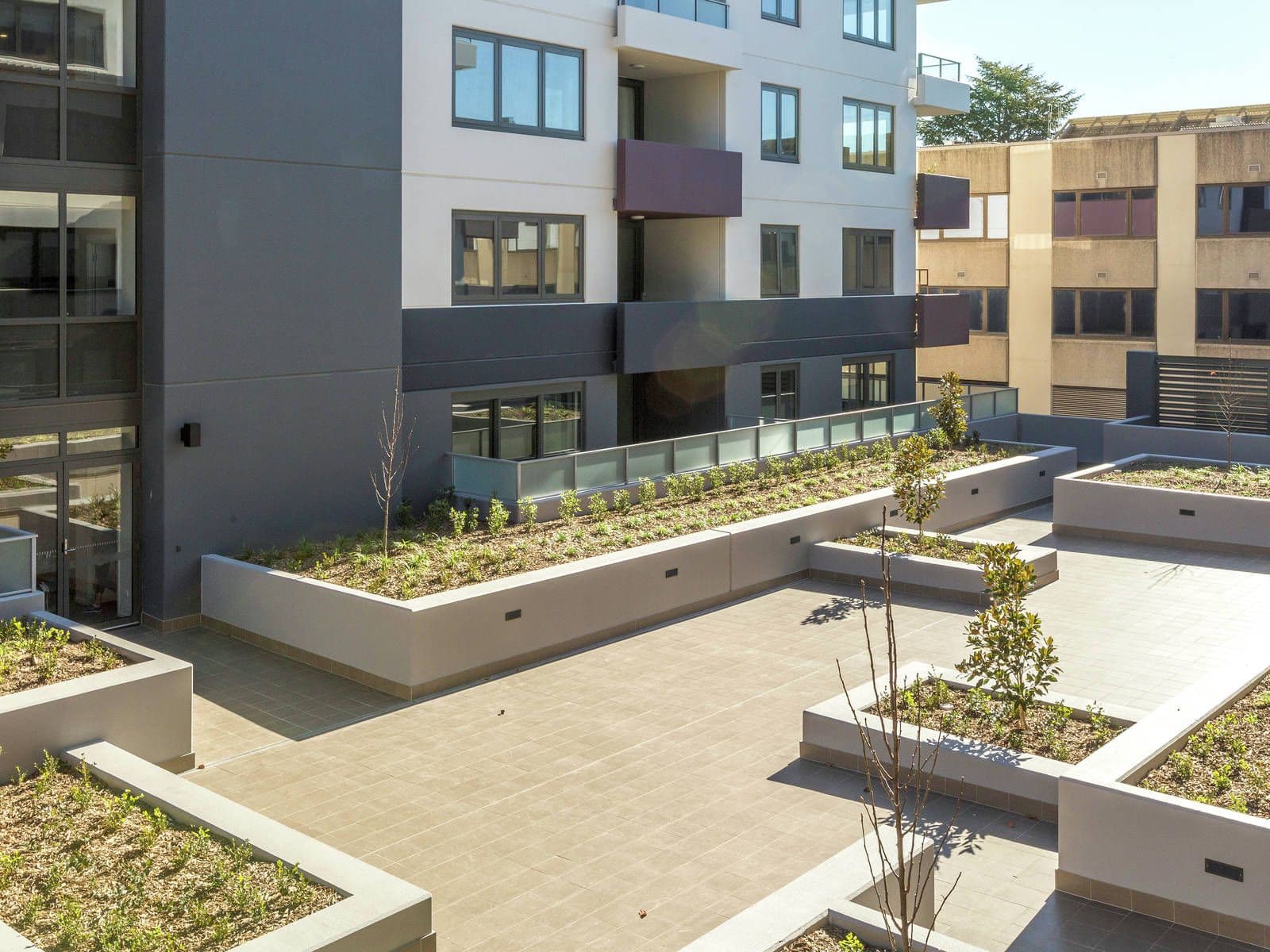 53 Mort Street, Braddon ACT 2612, Braddon - Thumbnail 6