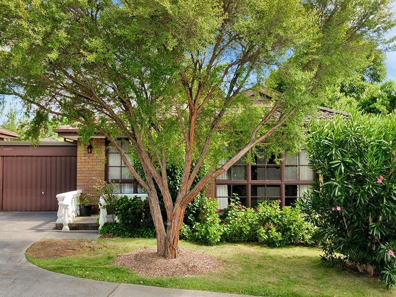 494 Mitcham Road, MITCHAM VIC 3132, Mitcham - Image 1