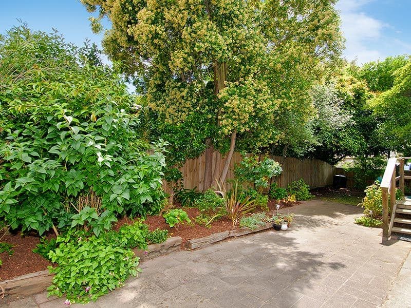 494 Mitcham Road, MITCHAM VIC 3132, Mitcham - Thumbnail 4