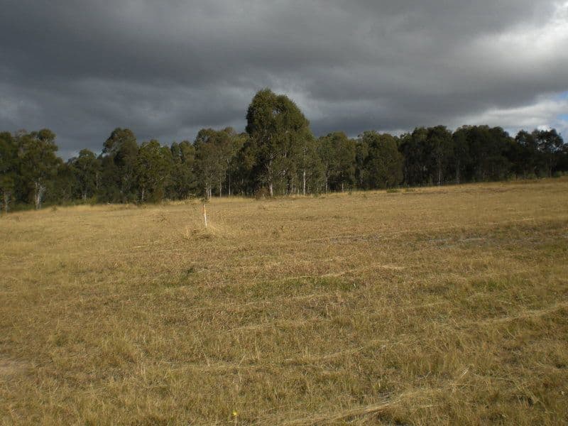 Lot 136 Nutans Crest, WORRIGEE NSW 2540, Worrigee - Thumbnail 5