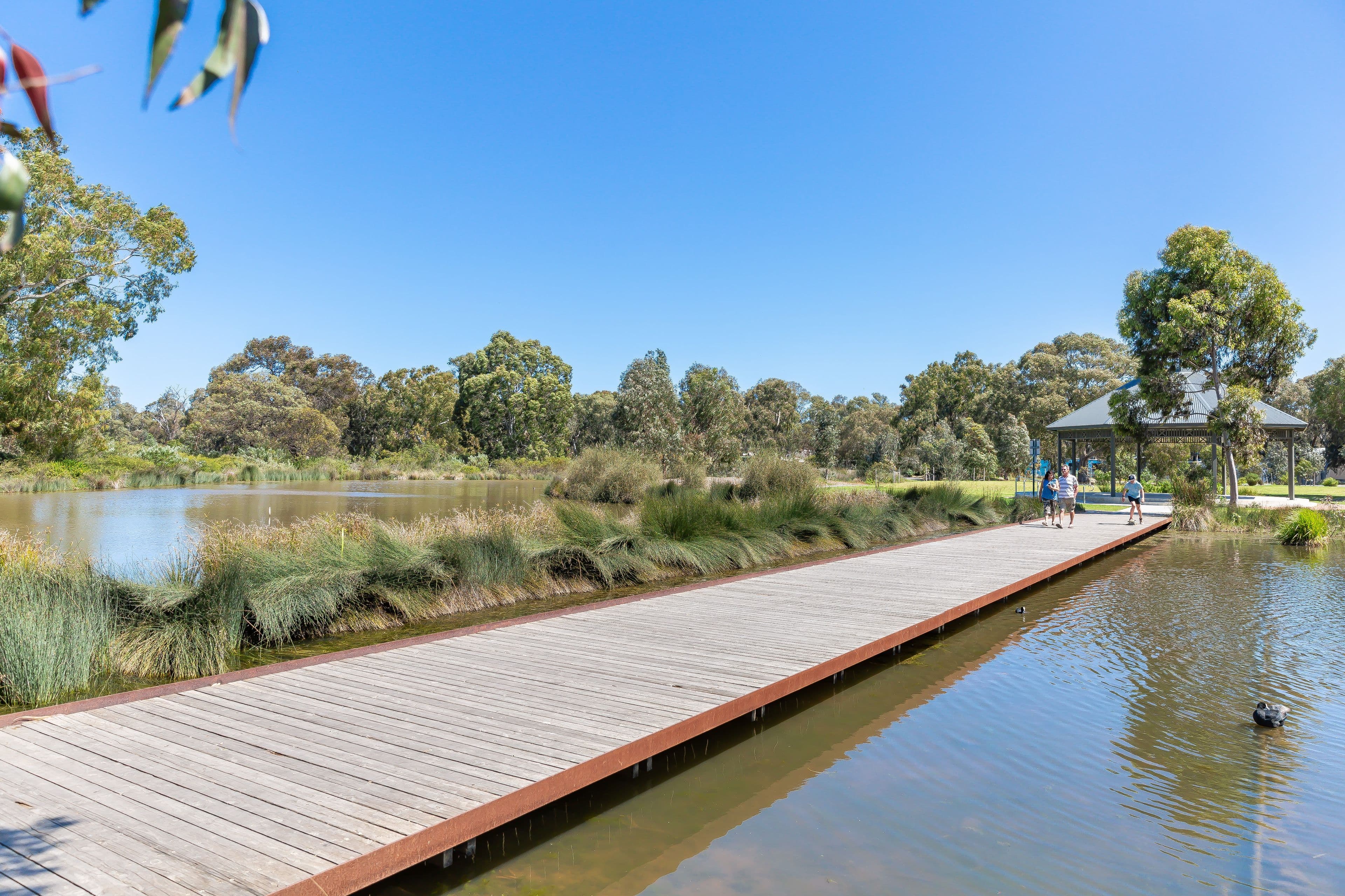 26 Woodland Road, Mitchell Park SA 5043, Mitchell Park - Thumbnail 4