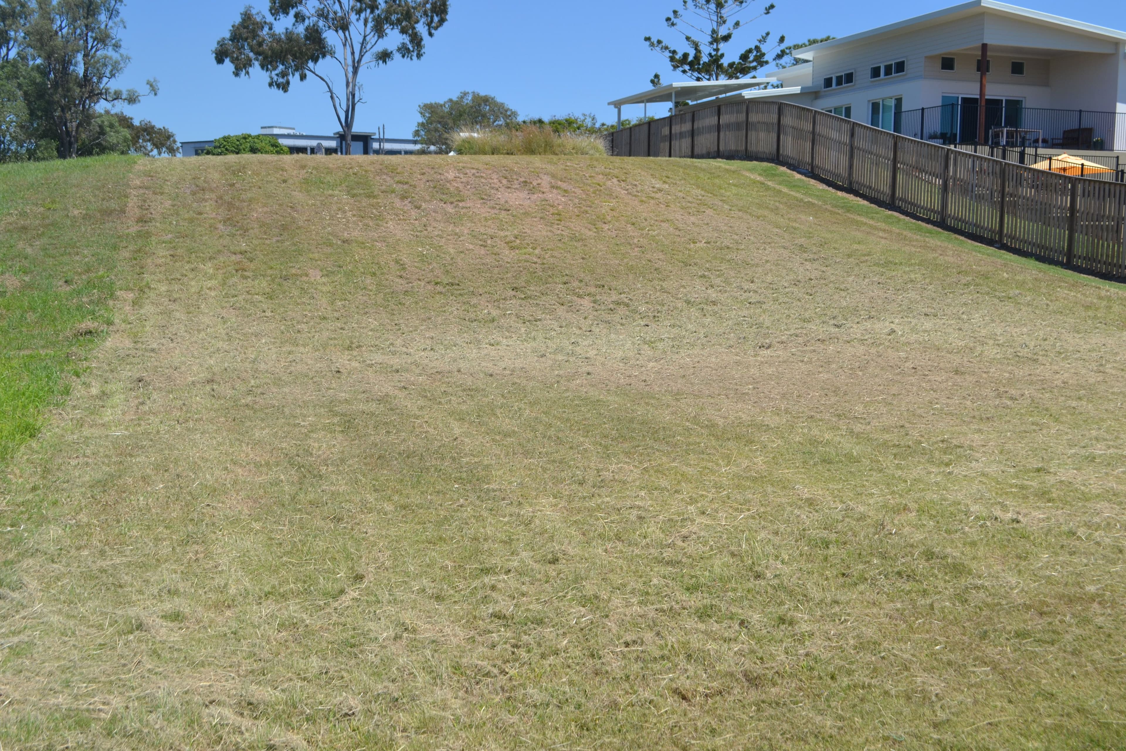 44 Hillyard Street, Pialba QLD 4655, Pialba - Thumbnail 6