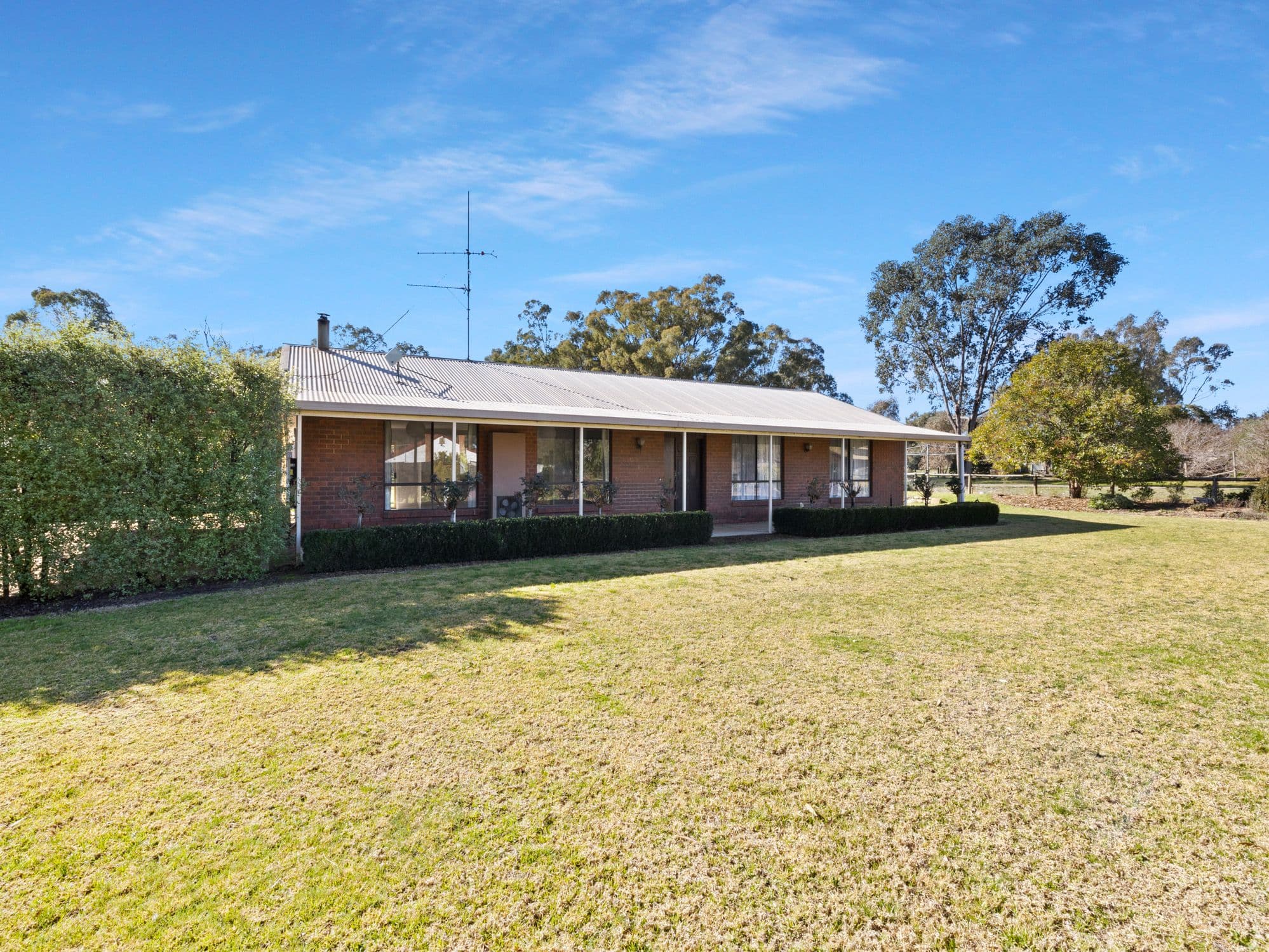 43 Meakins Avenue, Violet Town VIC 3669, Violet Town - Thumbnail 5