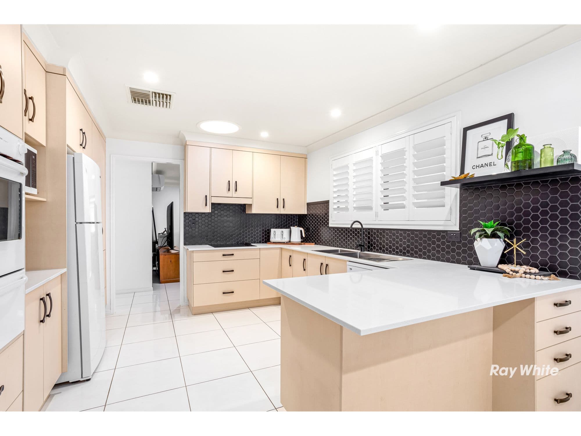 207 Schmidt Street, Frenchville QLD 4701, Frenchville - Thumbnail 5