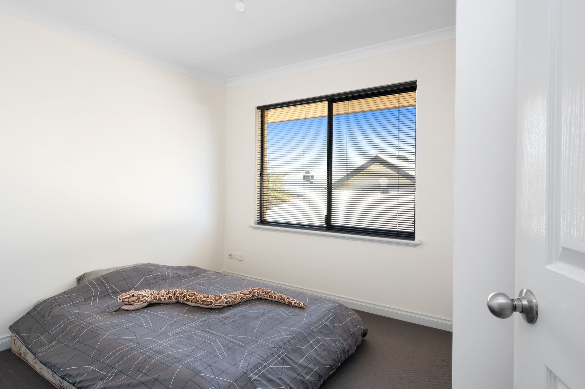 556B Hannan Street, Kalgoorlie WA 6430, Kalgoorlie - Thumbnail 8