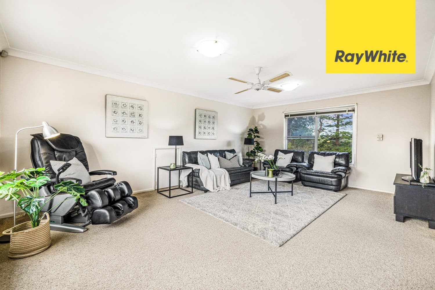 26 Haywood Street, Epping NSW 2121, Epping - Thumbnail 5