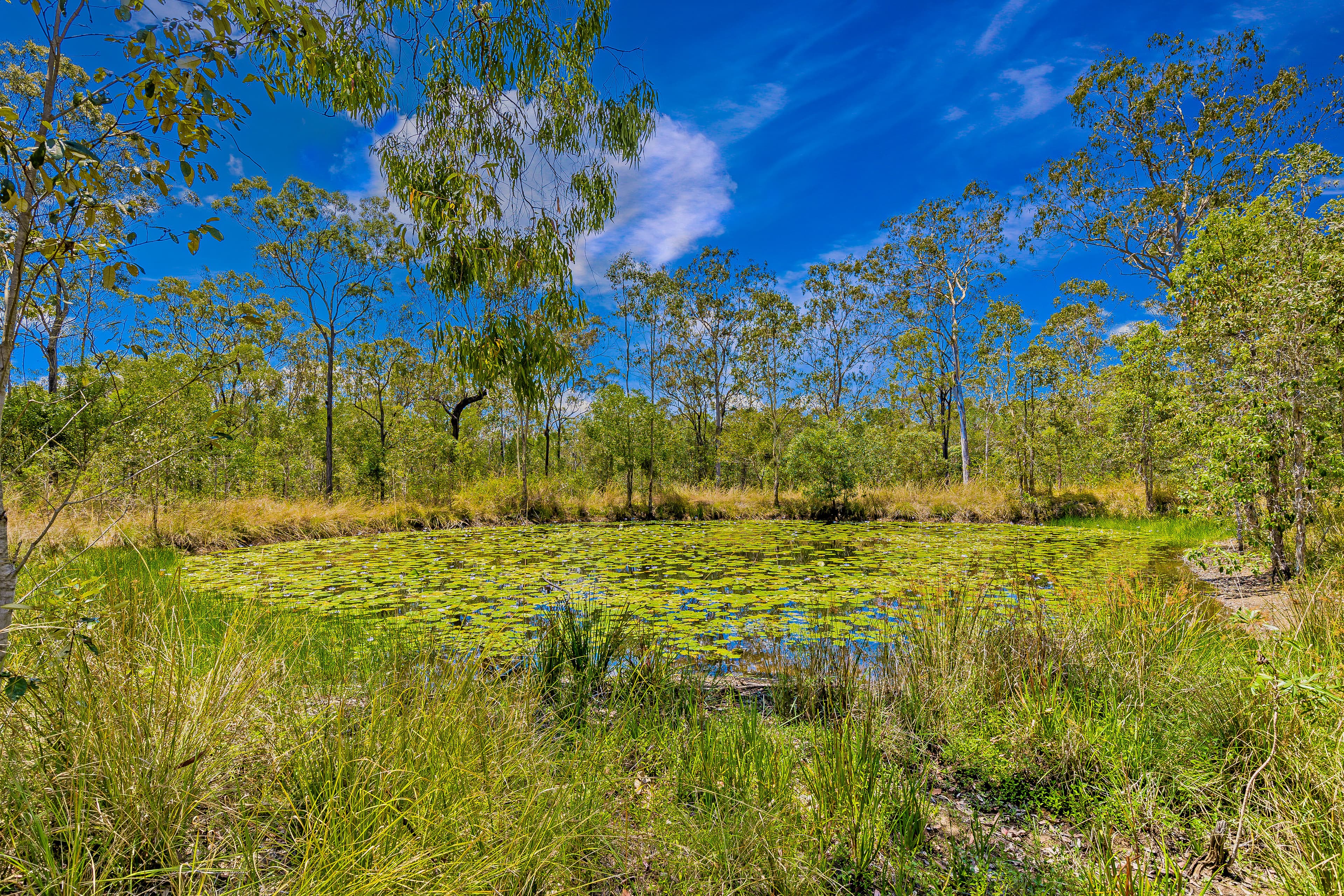74 Creevey Drive, Captain Creek QLD 4677, Captain Creek - Thumbnail 4