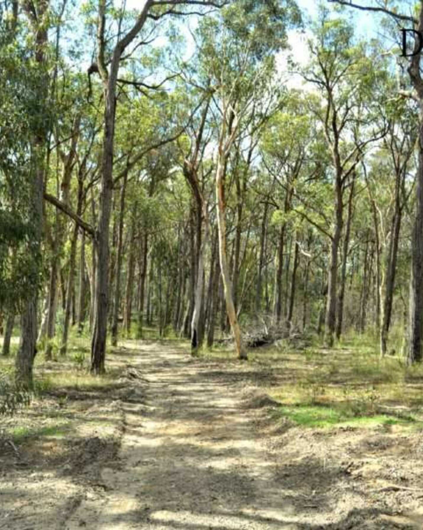 25 Grevillea Close Tallong, Tallong - Thumbnail 3