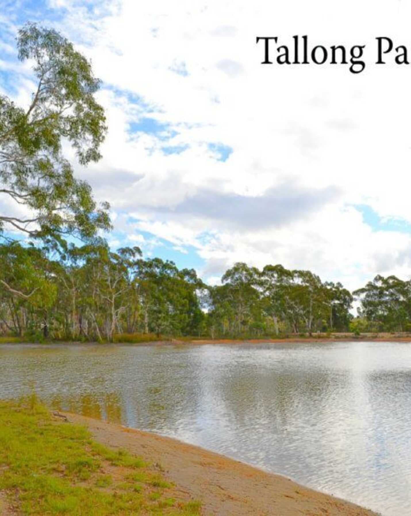 25 Grevillea Close Tallong, Tallong - Thumbnail 6