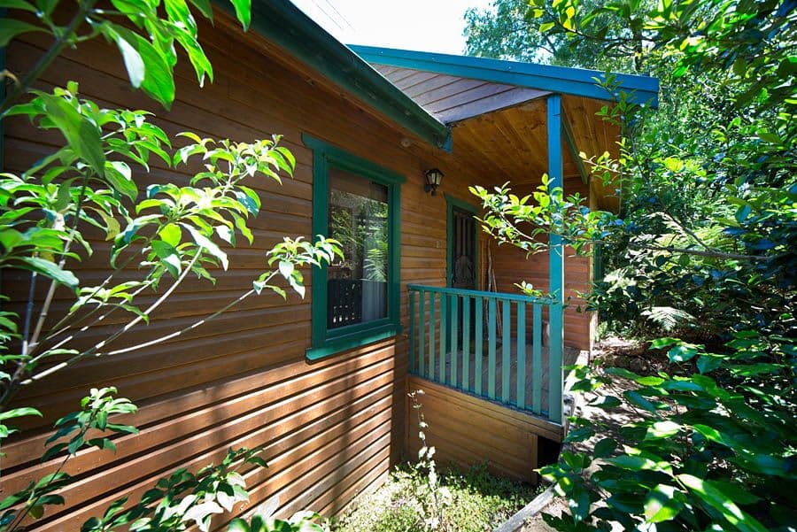 20 Wills Lane, BLACKHEATH NSW 2785, Blackheath - Thumbnail 3