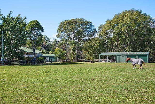 447 Tallebudgera Creek Road, TALLEBUDGERA VALLEY QLD 4228, Tallebudgera Valley - Thumbnail 3