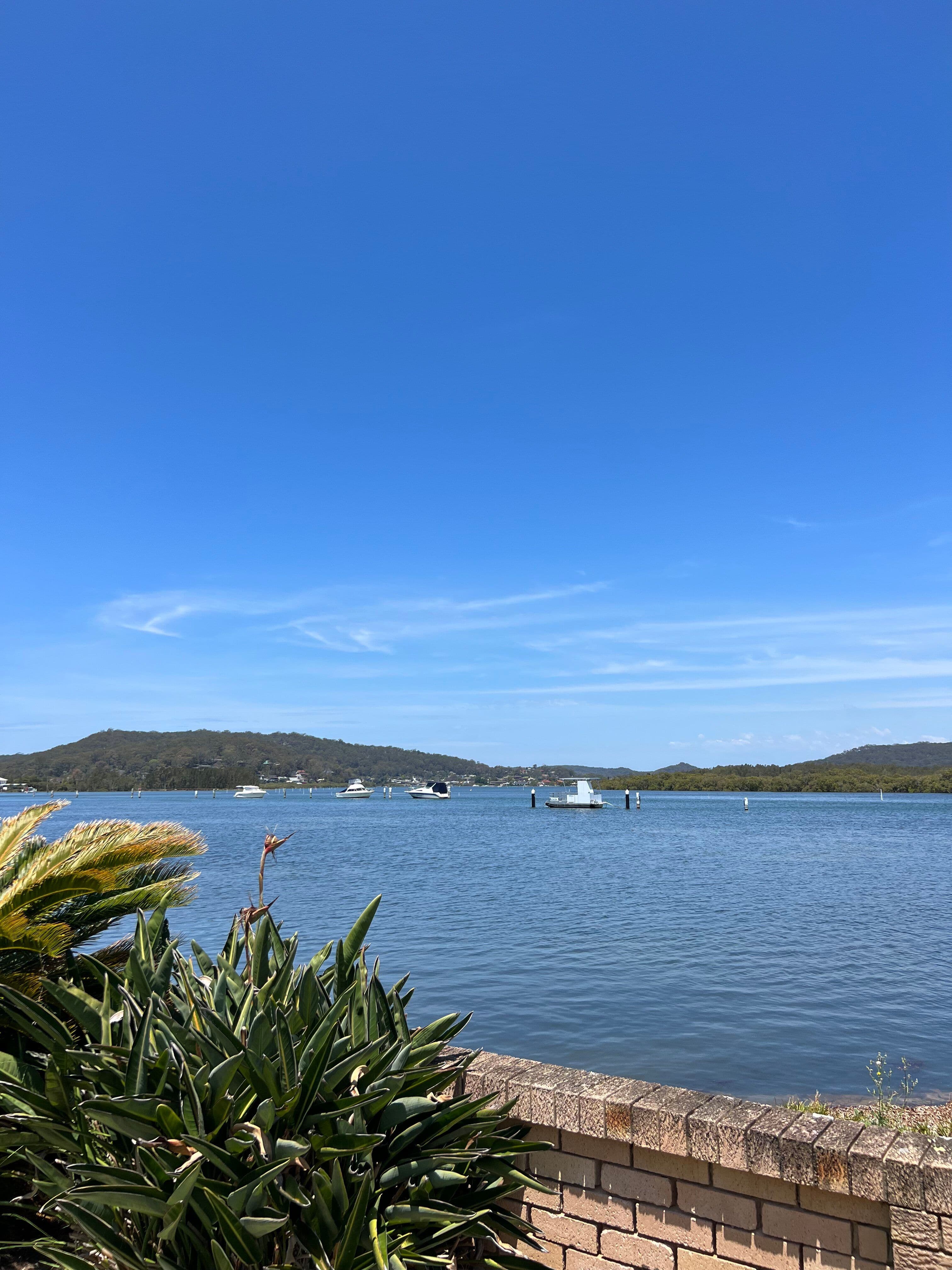 20 Morton Crescent, Davistown NSW 2251, Davistown - Thumbnail 3
