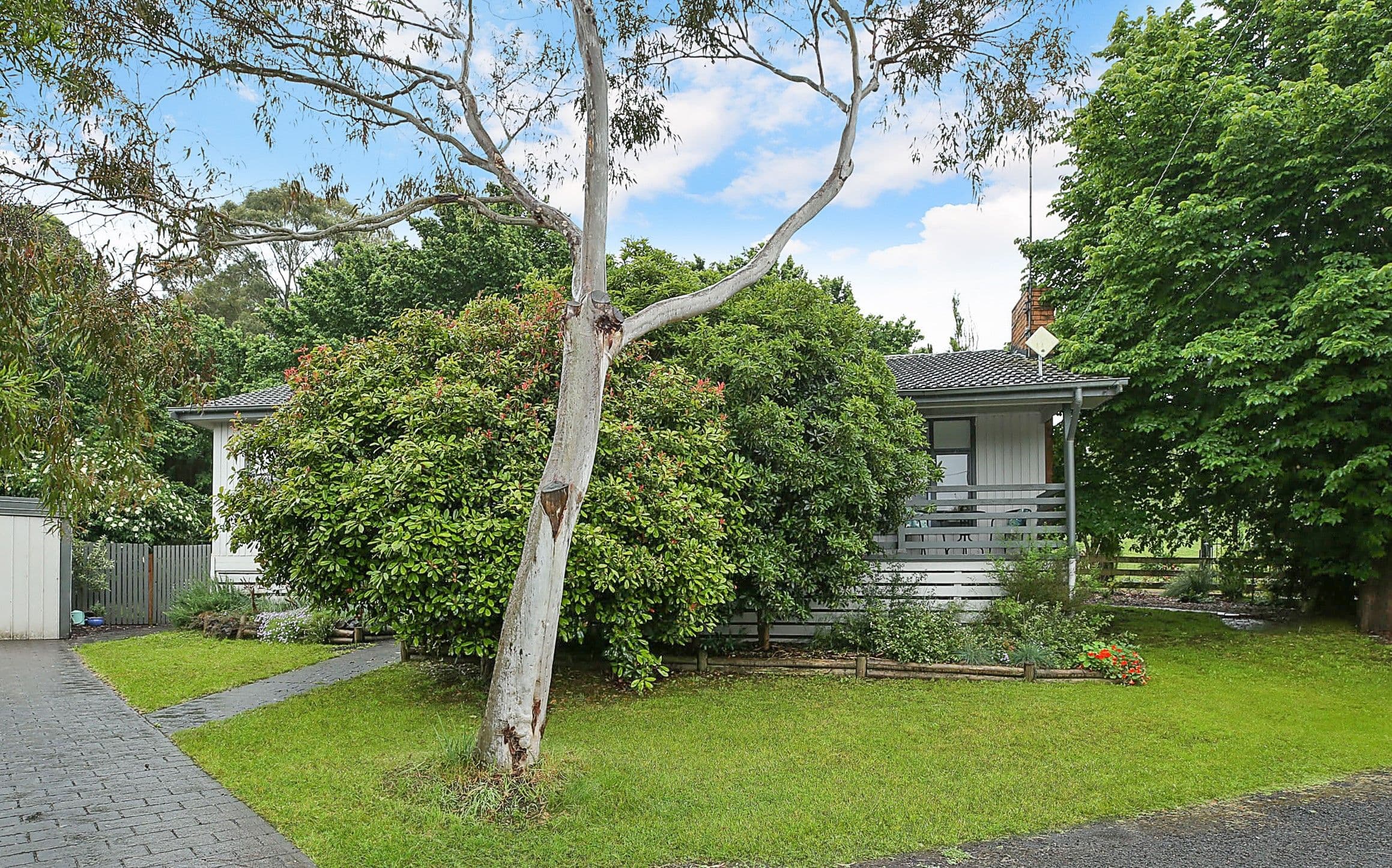 58 Warrnambool Road, Terang VIC 3264, Terang - Image 1