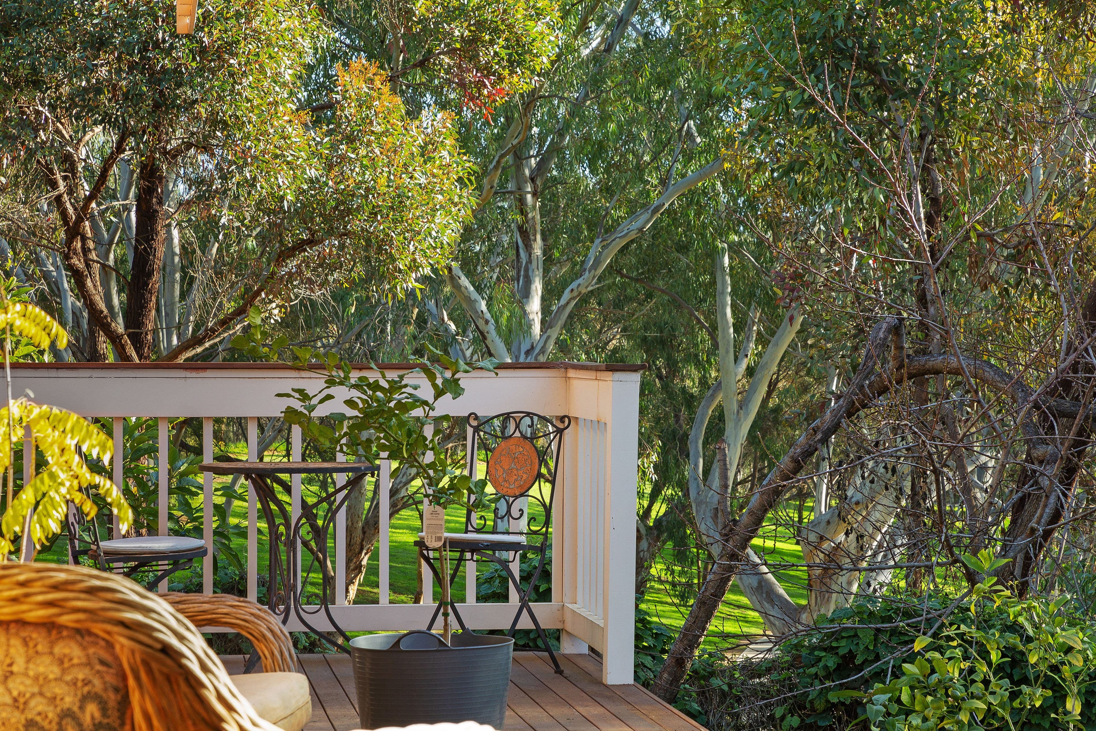 18 Coventry Drive, Athelstone SA 5076, Athelstone - Image 1