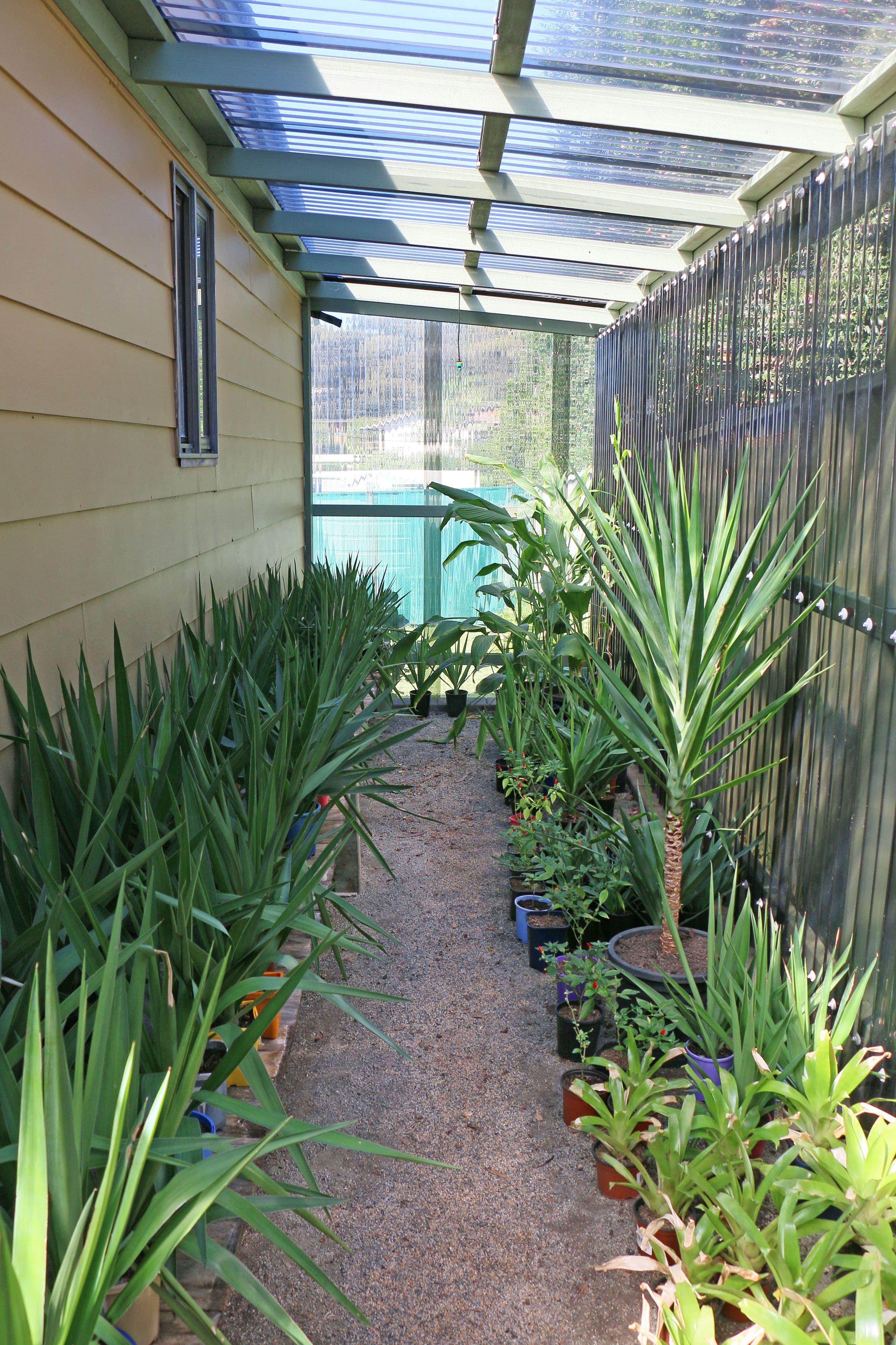 10 Quarry Way, Laurieton - Thumbnail 6