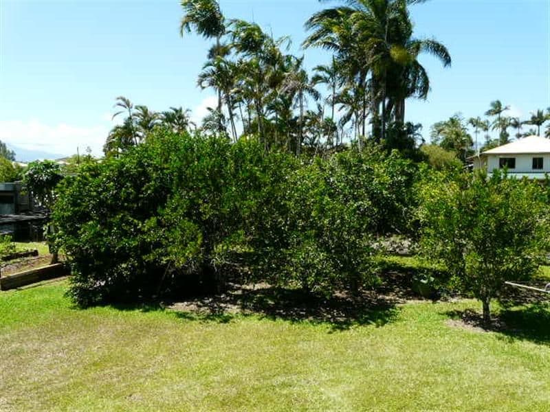 5 Cedar Street, INNISFAIL QLD 4860, Innisfail - Thumbnail 8