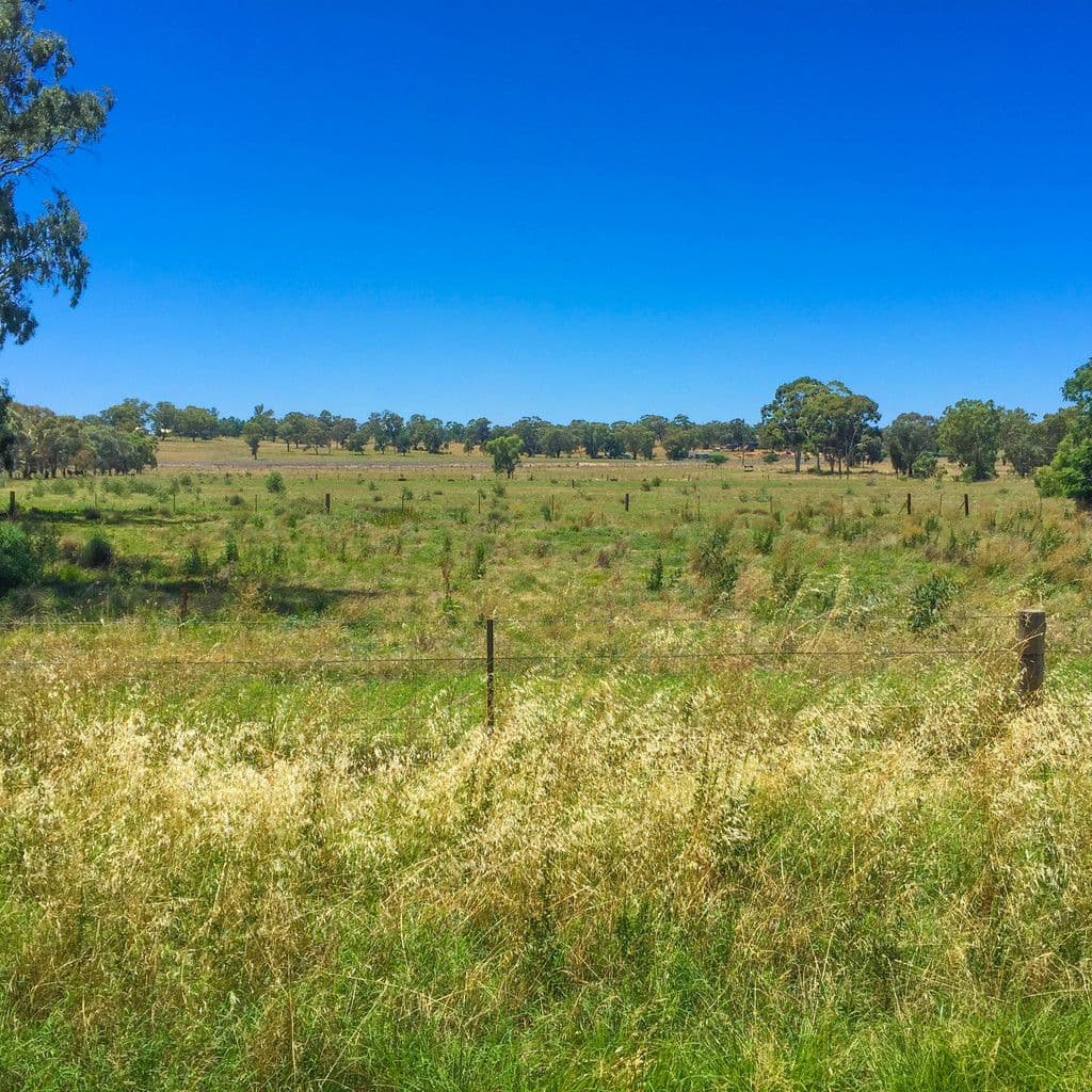 Lot 4 and 5 Irrigation Way, Narrandera NSW 2700, Narrandera - Thumbnail 2