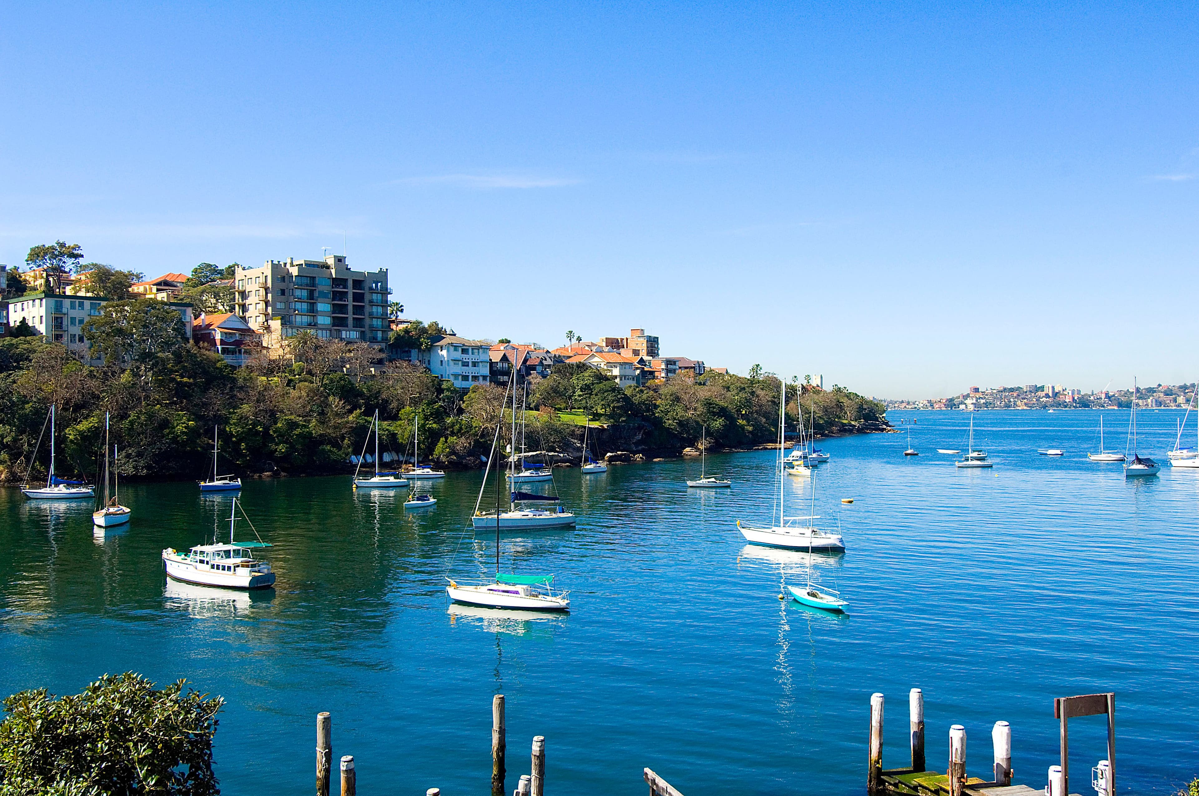 13 Shellcove Road, KURRABA POINT NSW 2089, Kurraba Point - Thumbnail 2