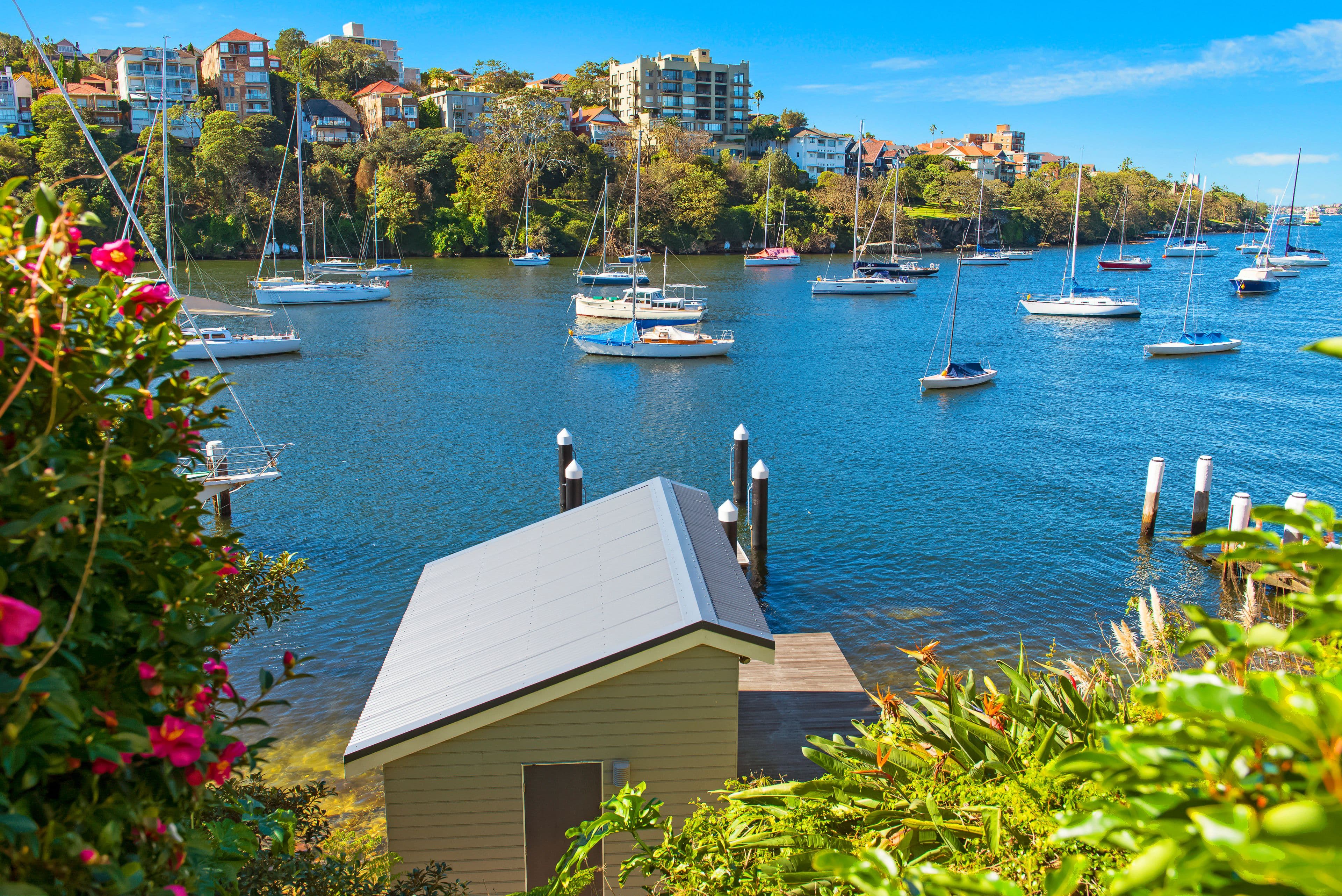 13 Shellcove Road, KURRABA POINT NSW 2089, Kurraba Point - Thumbnail 3