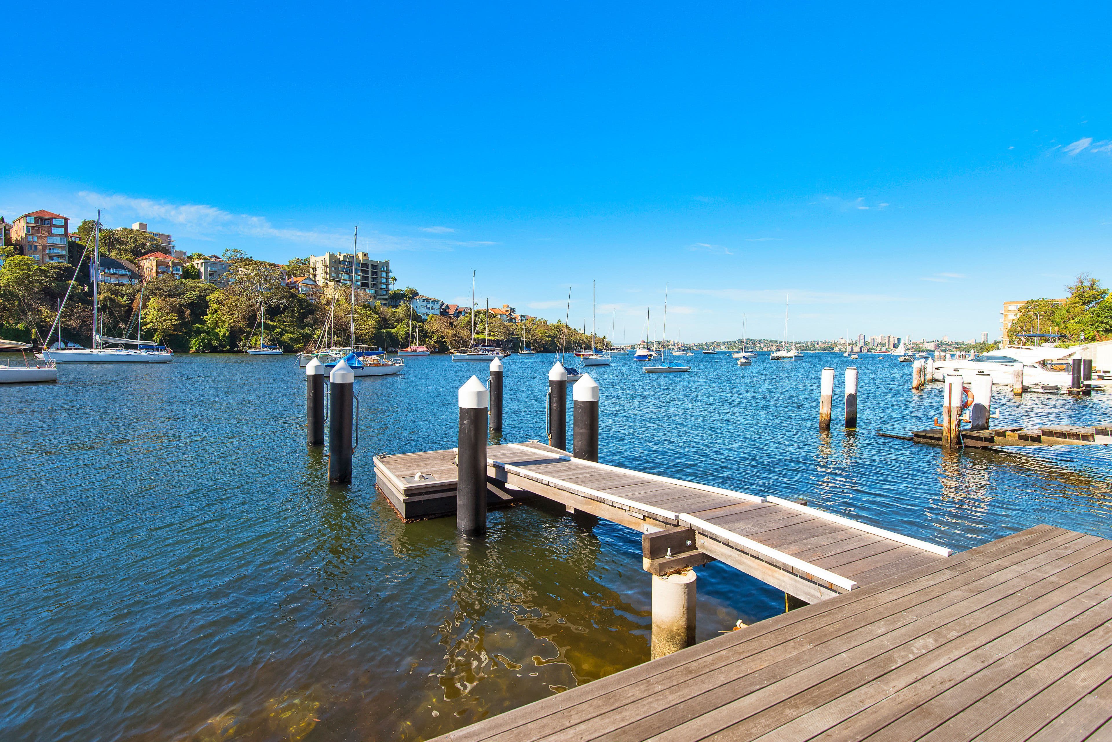 13 Shellcove Road, KURRABA POINT NSW 2089, Kurraba Point - Thumbnail 6