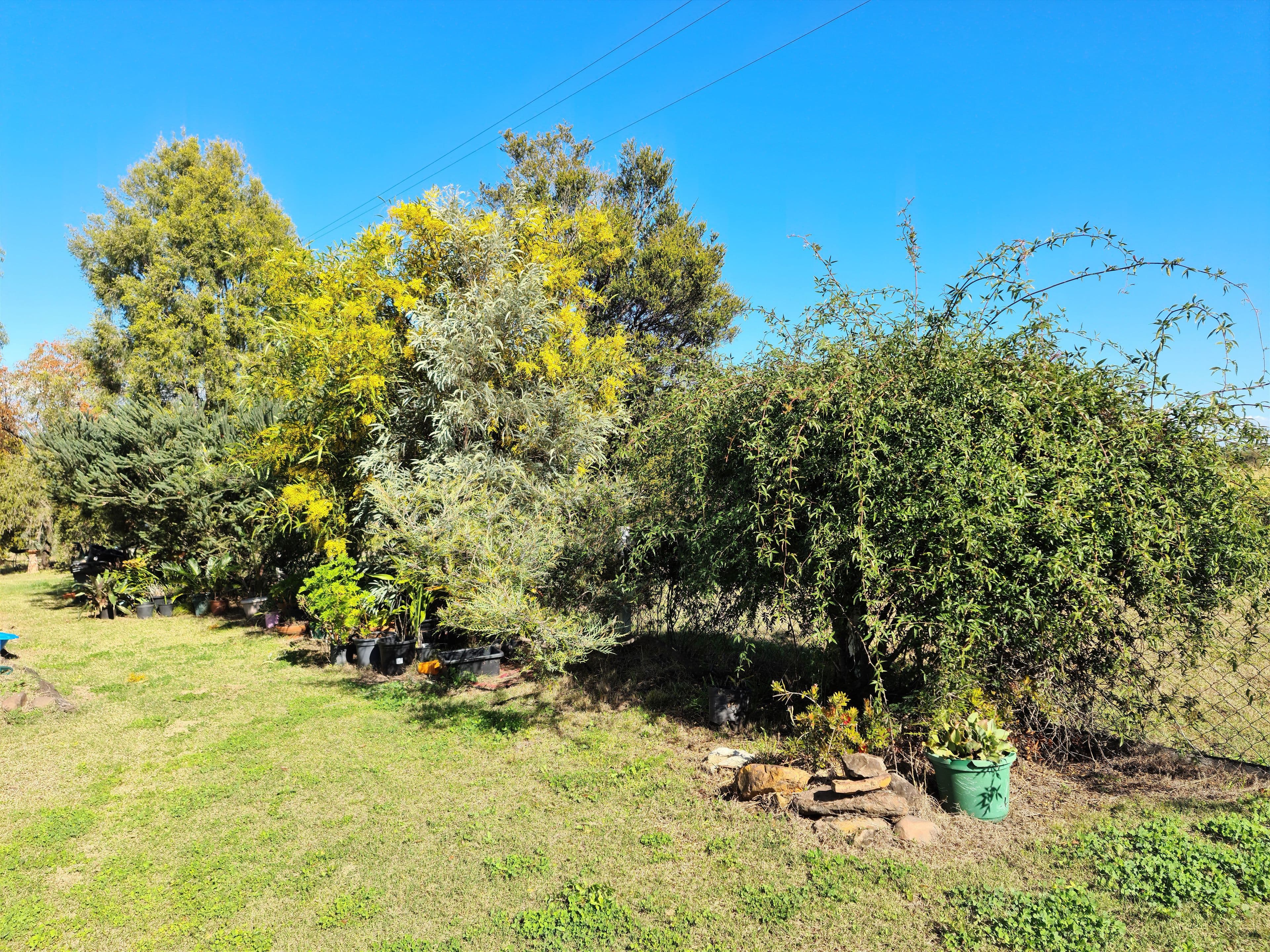 2 Vanneck Street, Yangan QLD 4371, Yangan - Thumbnail 3