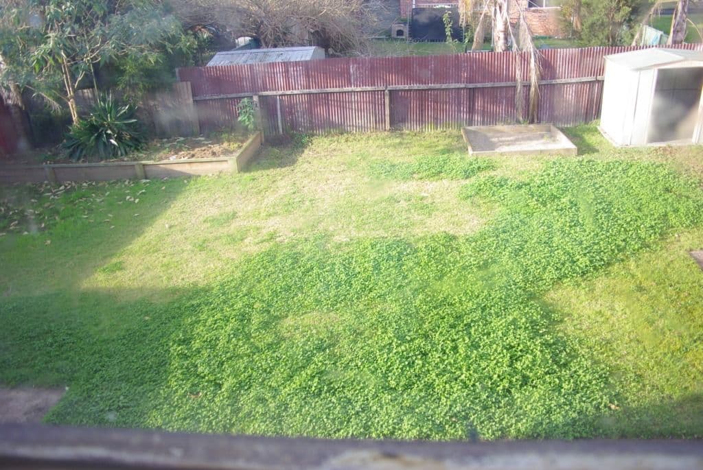 51 James Meehan Street, WINDSOR NSW 2756, Windsor - Thumbnail 3