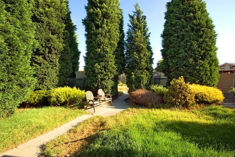 280 Mansfield Street, THORNBURY VIC 3071, Thornbury - Thumbnail 5