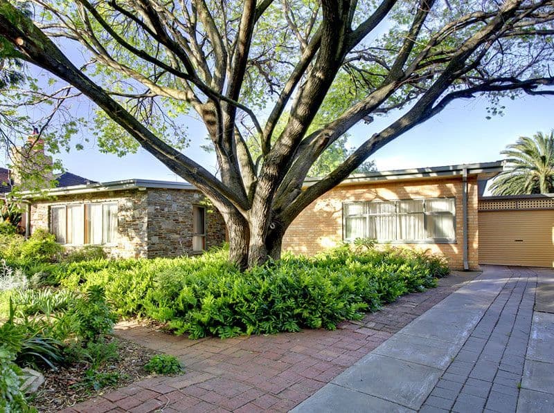 25 Broadmore Avenue, FULHAM SA 5024, Fulham - Image 1