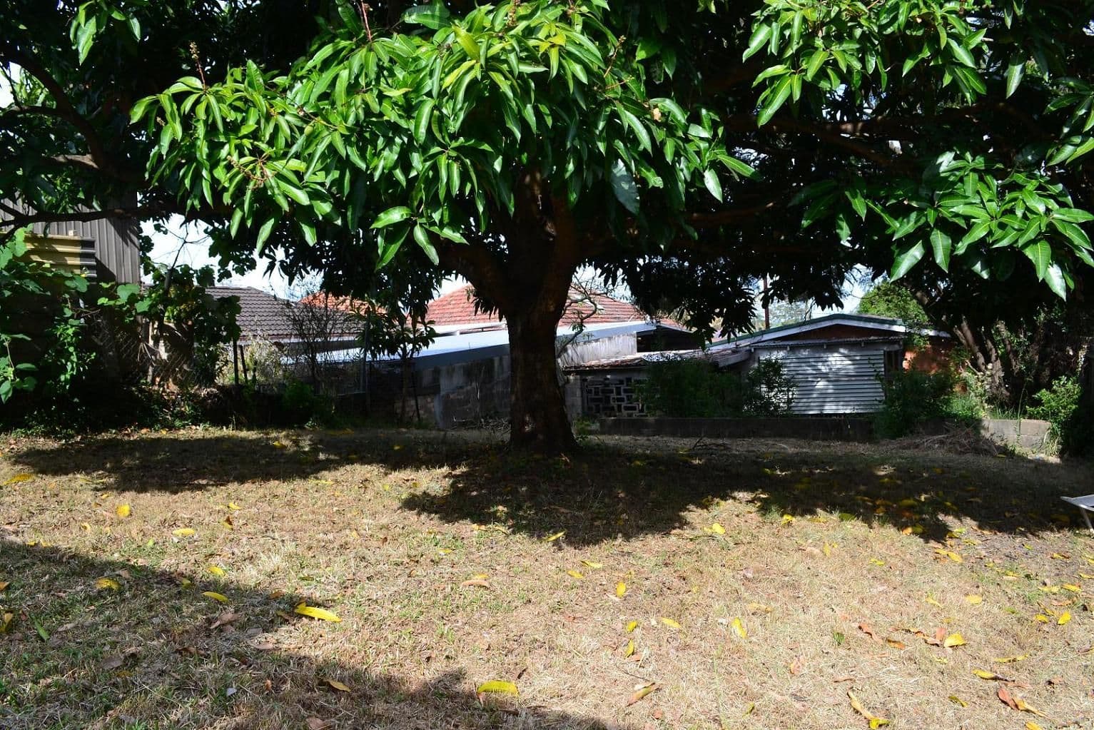 1723 Logan Road, UPPER MOUNT GRAVATT QLD 4122, Upper Mount Gravatt - Thumbnail 5