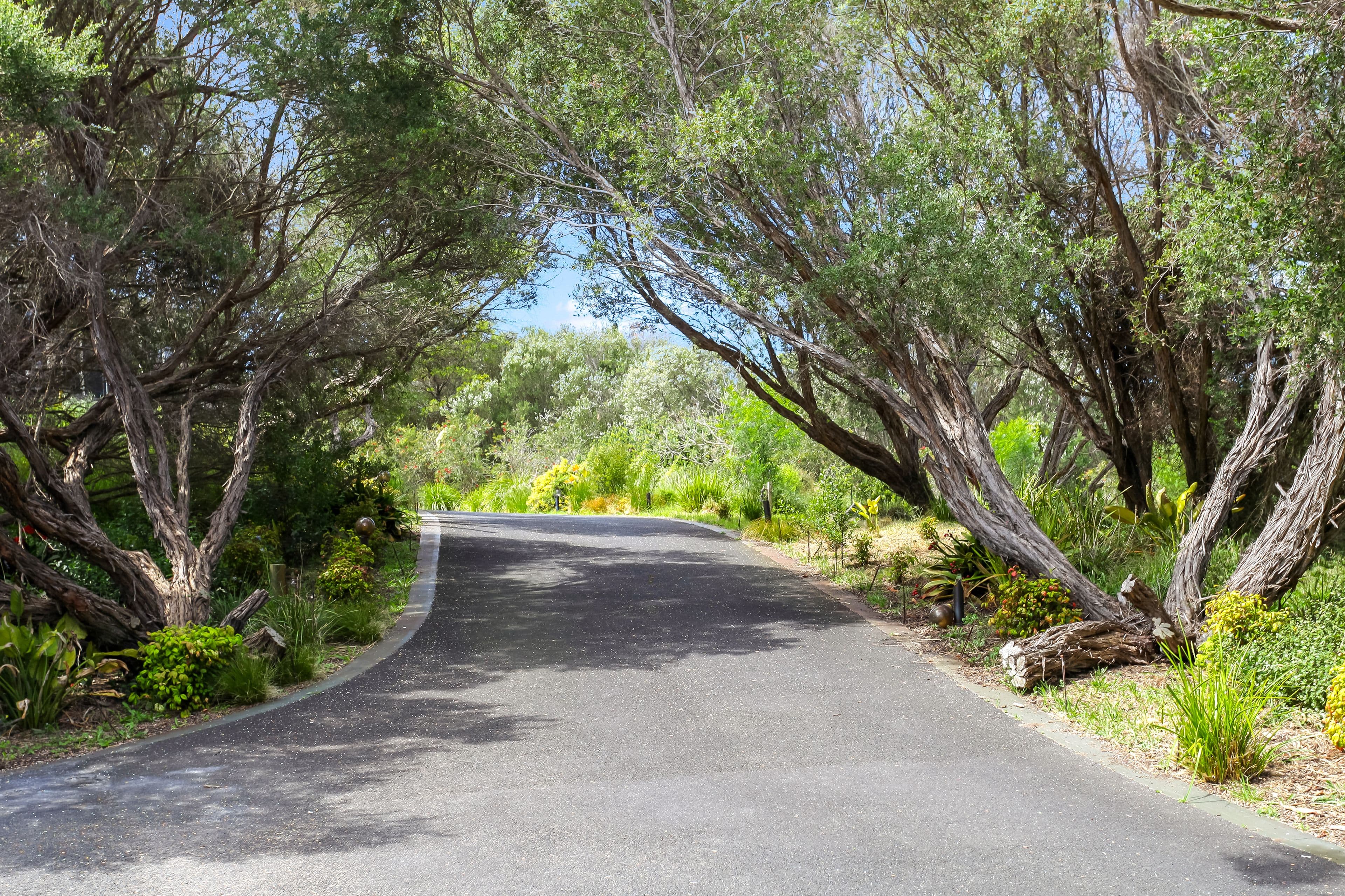 17 Alexandra Crescent, Rye VIC 3941, Rye - Thumbnail 6
