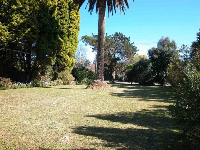 303  Bobbin Head Road, NORTH TURRAMURRA NSW 2074, North Turramurra - Thumbnail 4