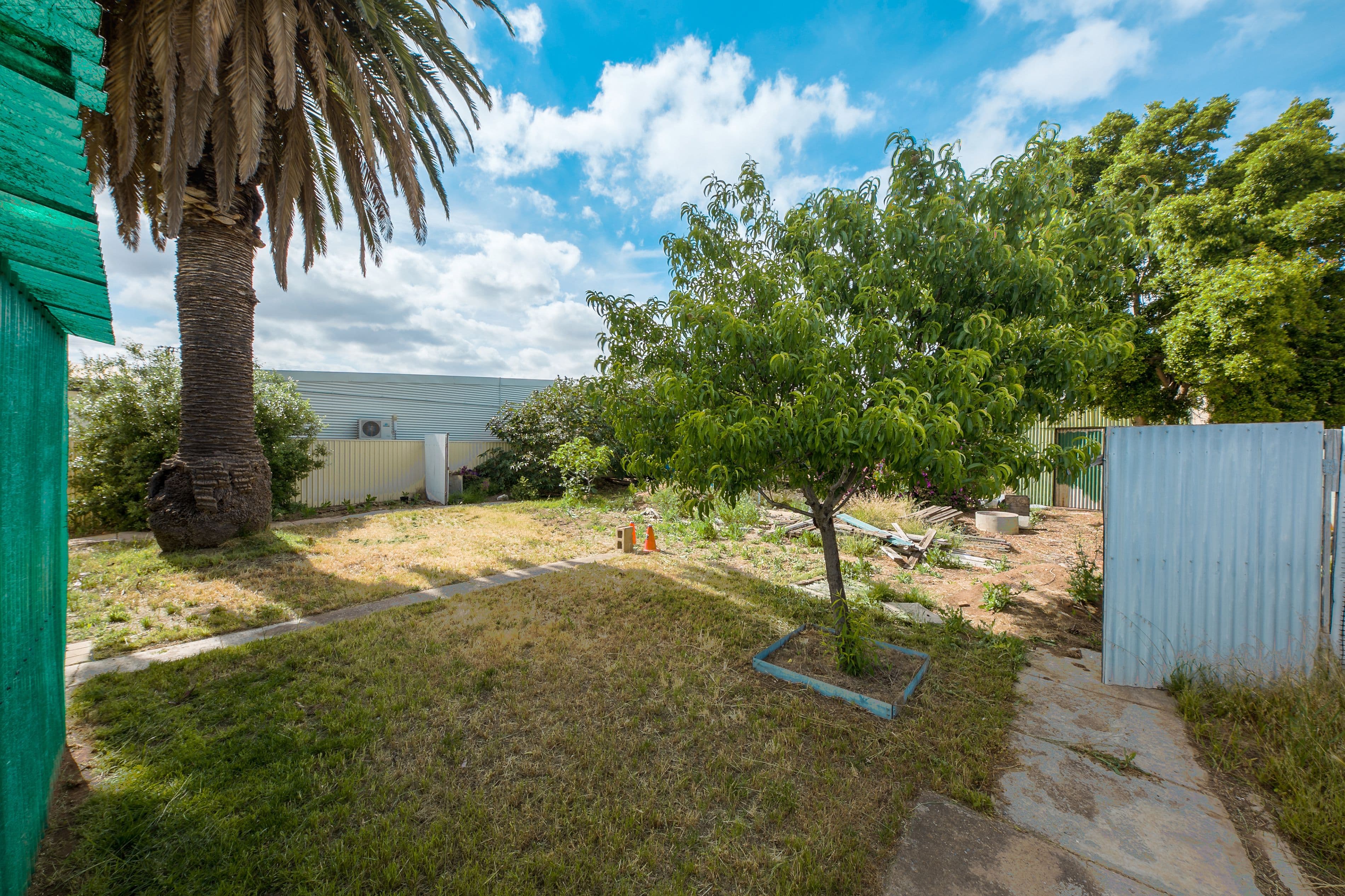 24 Millicent Street, Athol Park SA 5012, Athol Park - Thumbnail 8