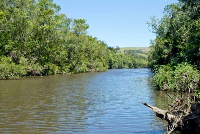 68 Horton Close, CLARENCE TOWN NSW 2321, Clarence Town - Thumbnail 2
