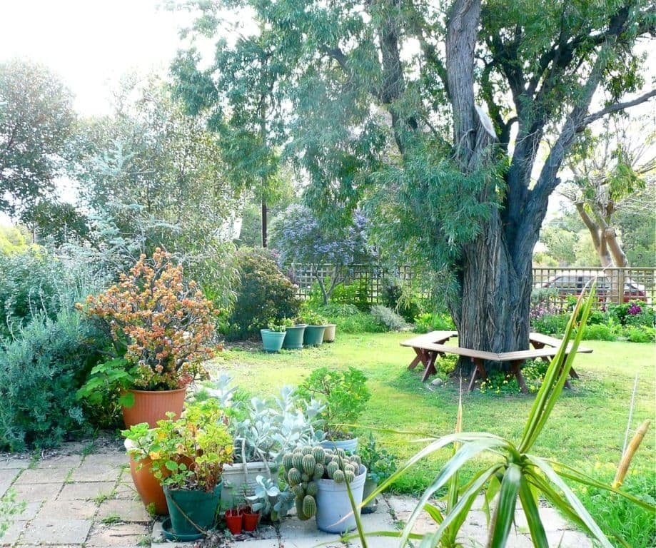 9 Sherlock Road, KINGSTON PARK SA 5049, Kingston Park - Thumbnail 2
