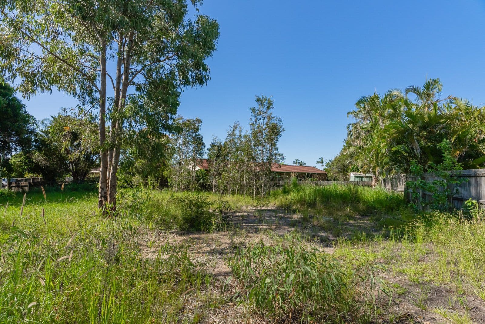 8 Karloo Court, Mountain Creek QLD 4557, Mountain Creek - Thumbnail 8