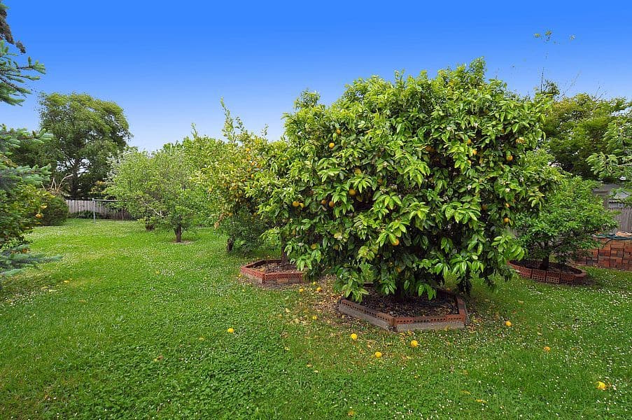 9 Orient Avenue, MITCHAM VIC 3132, Mitcham - Thumbnail 6