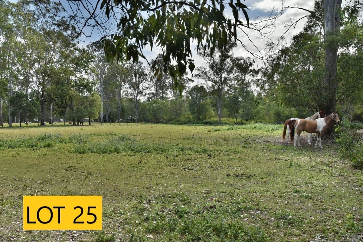 318 Miller Road, Logan Village QLD 4207, Logan Village - Thumbnail 3