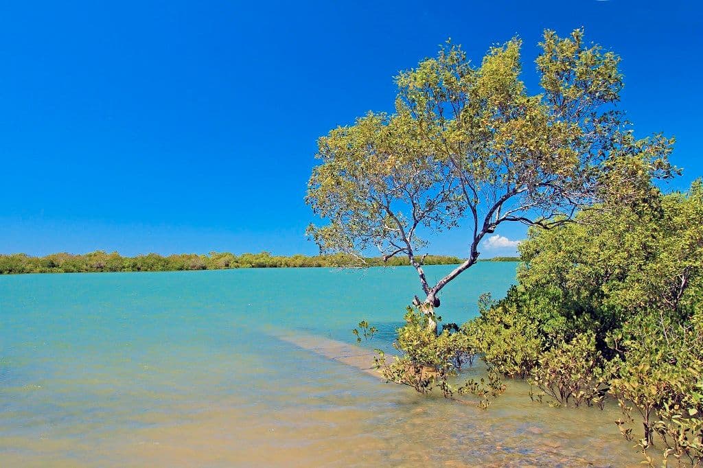 80 Hoys Road, COOWONGA QLD 4702, Coowonga - Image 1
