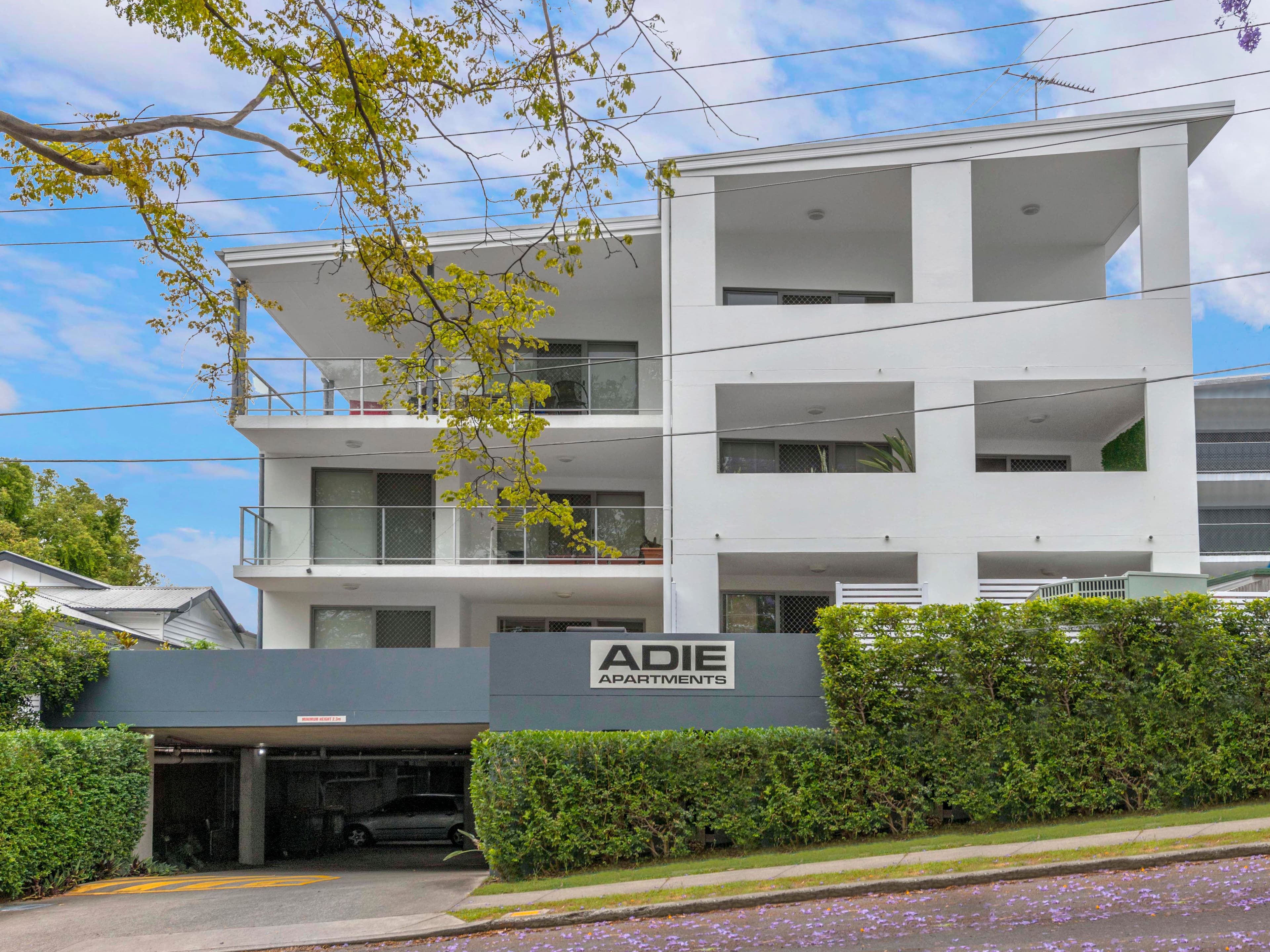 7 Ashgrove Avenue, Ashgrove QLD 4060, Ashgrove - Thumbnail 8