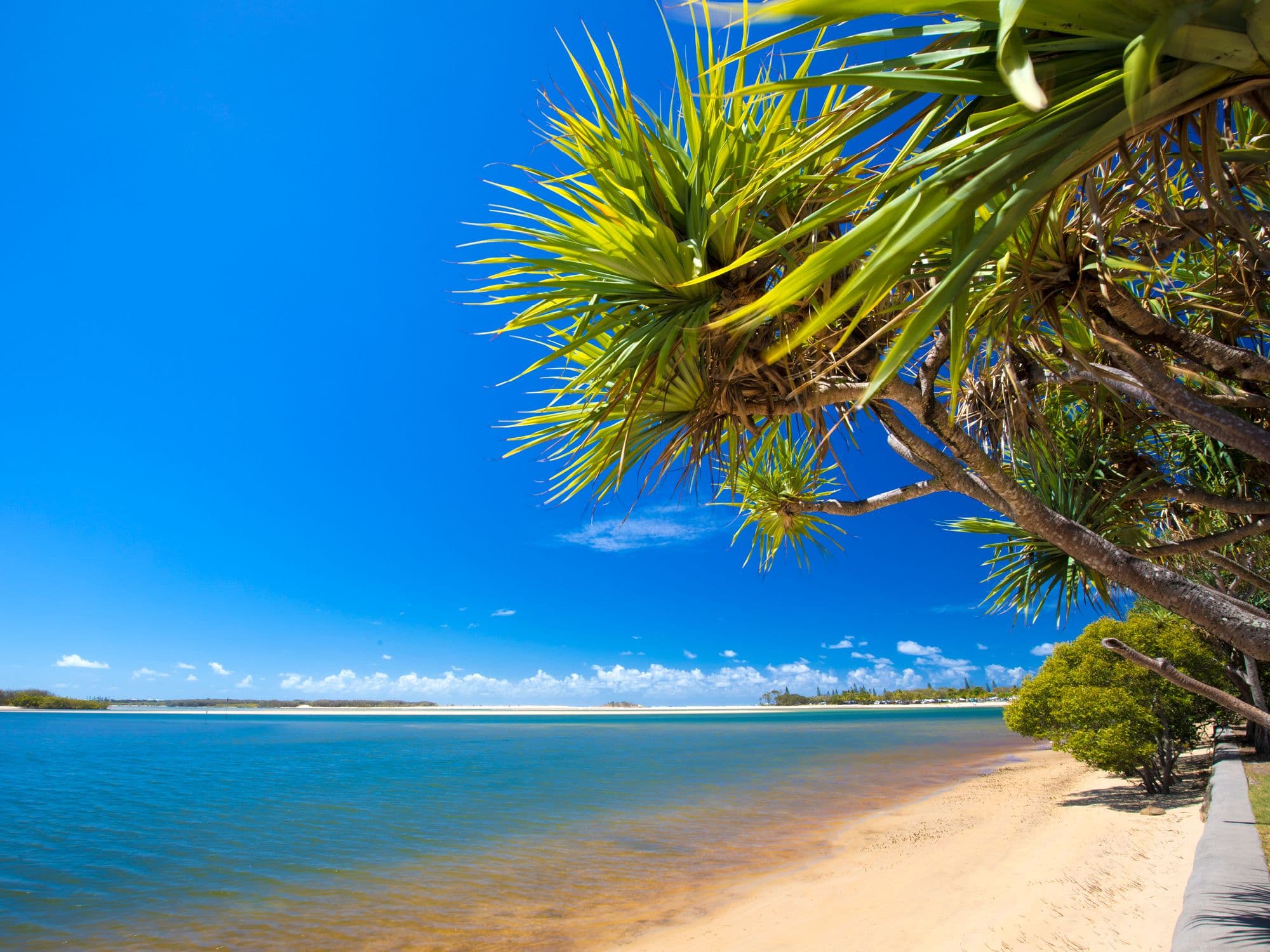 20 Second Avenue, Maroochydore QLD 4558, Maroochydore - Image 1