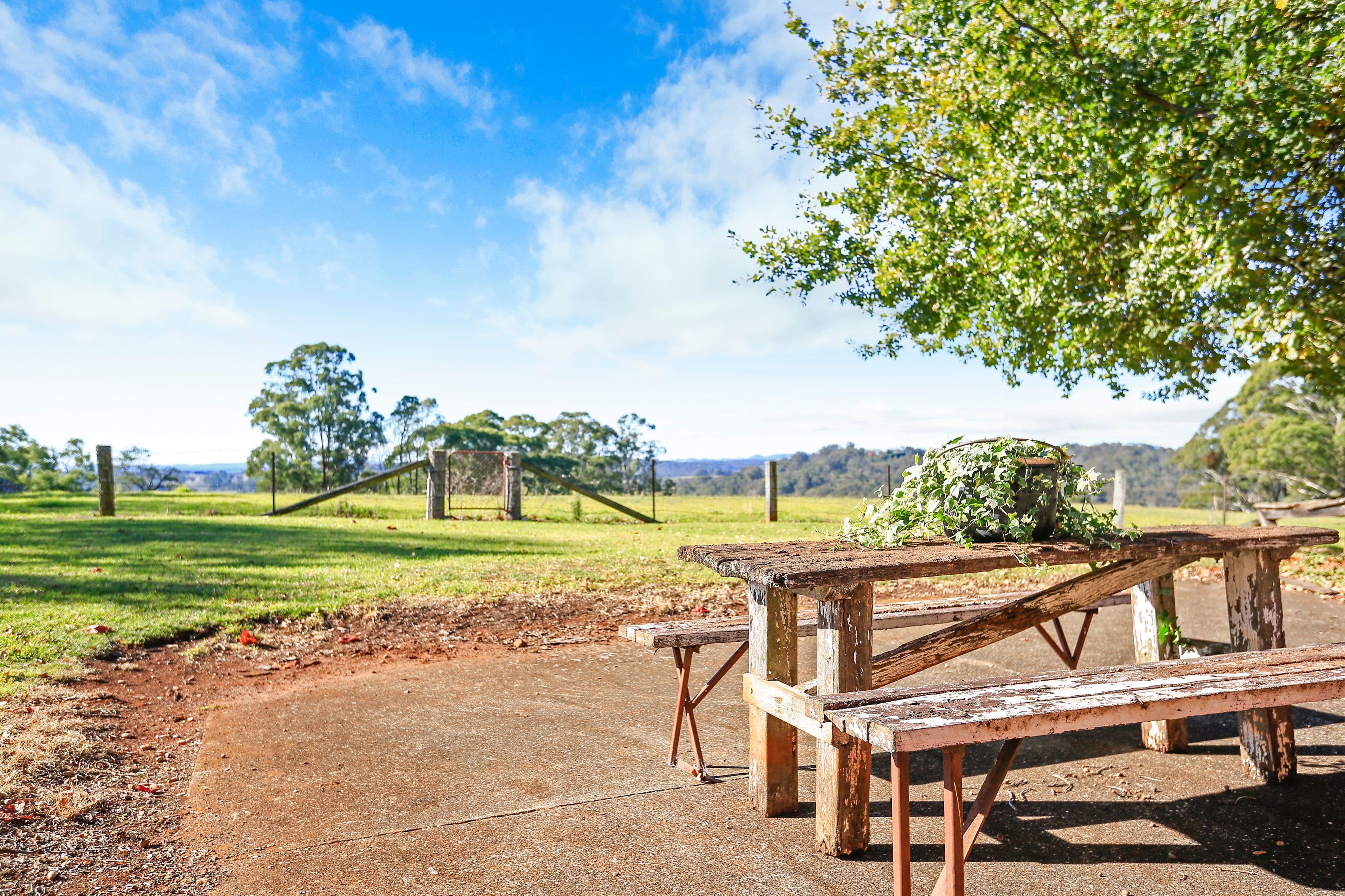 276 Greenhills Road, Werai - Thumbnail 6