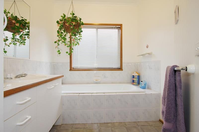 8 Schneider Street, FERNTREE GULLY VIC 3156, Ferntree Gully - Thumbnail 3