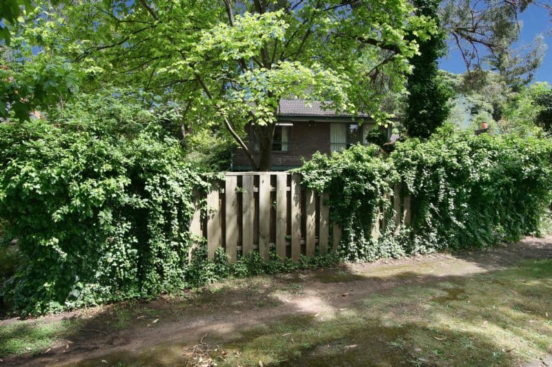 11 Bronaldi Street, HEATHMONT VIC 3135, Heathmont - Thumbnail 8