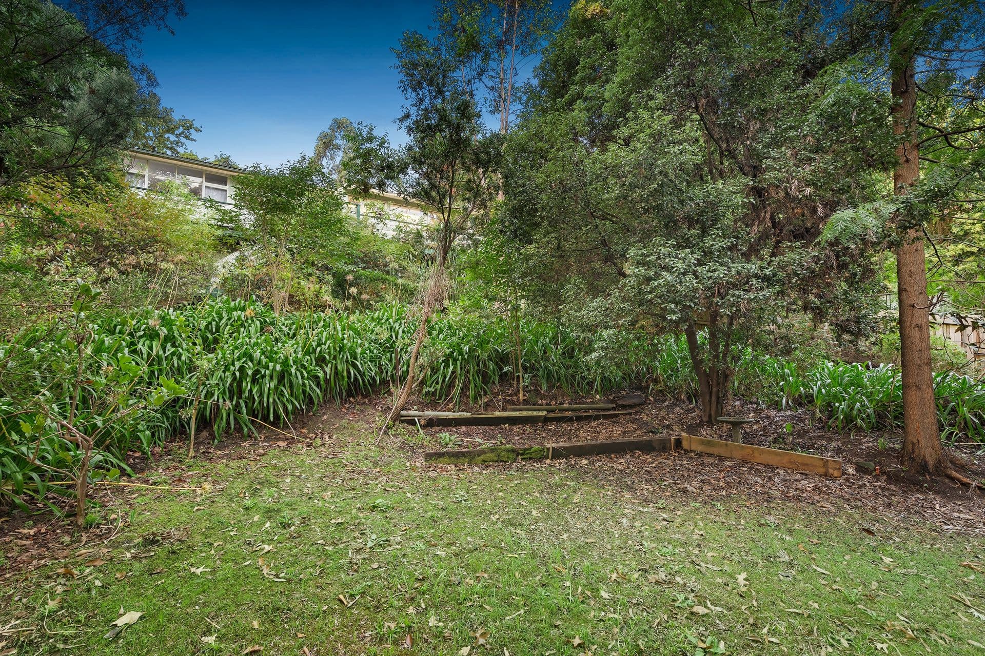 95 Hume Street, Greensborough VIC 3088, Greensborough - Thumbnail 7
