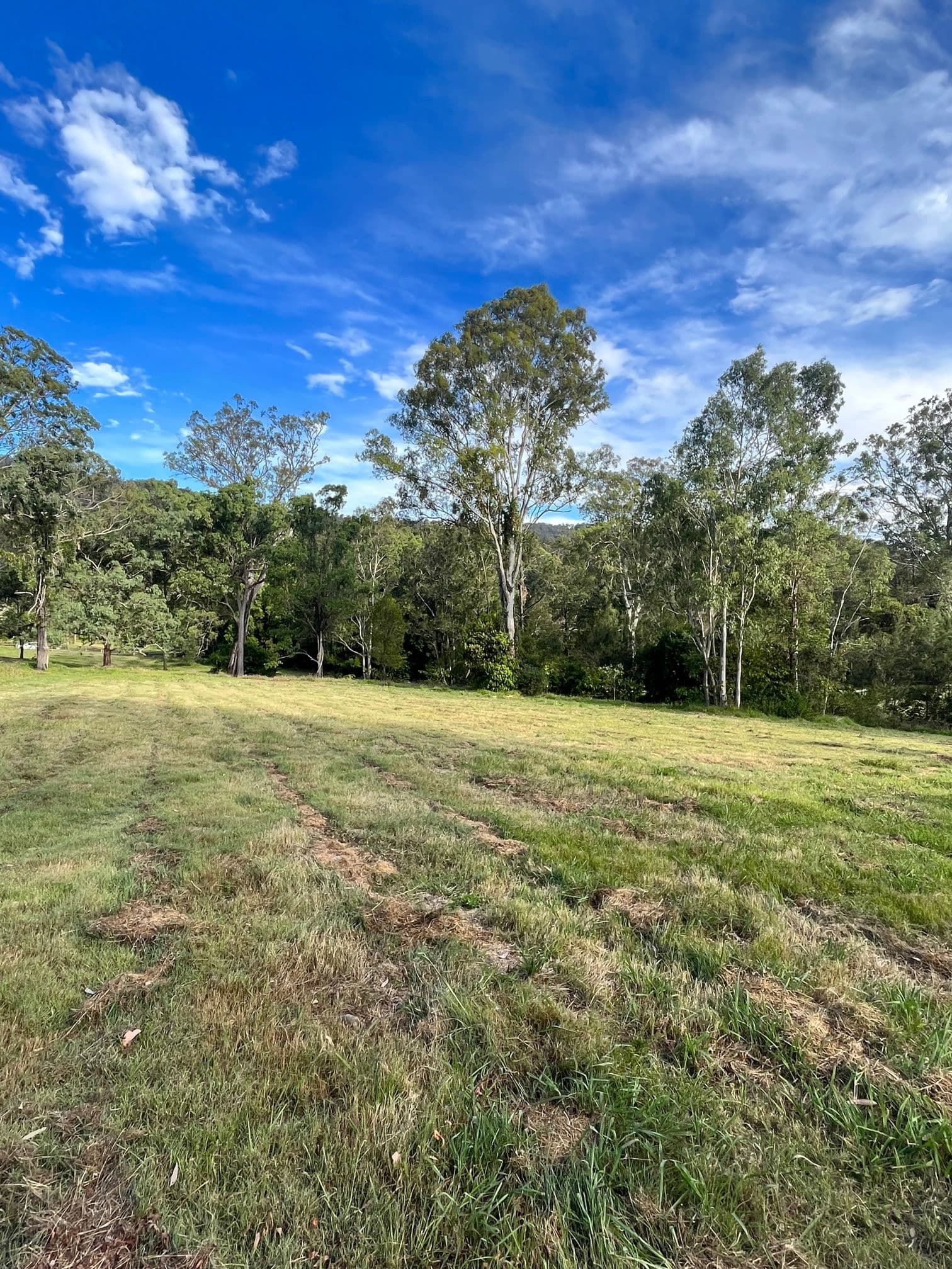 Bluegum Drive, Wonglepong QLD 4275, Wonglepong - Thumbnail 3