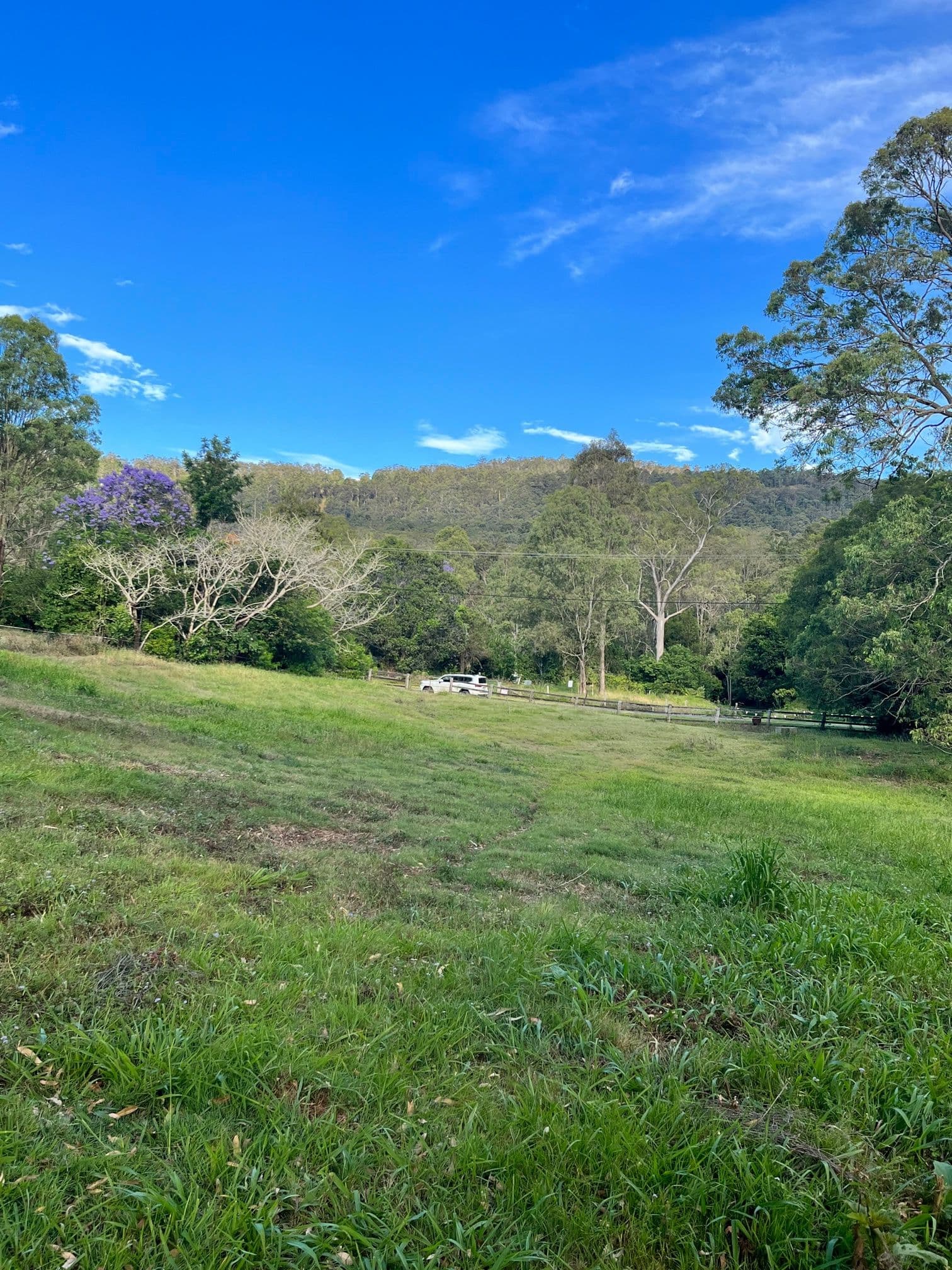Bluegum Drive, Wonglepong QLD 4275, Wonglepong - Thumbnail 4