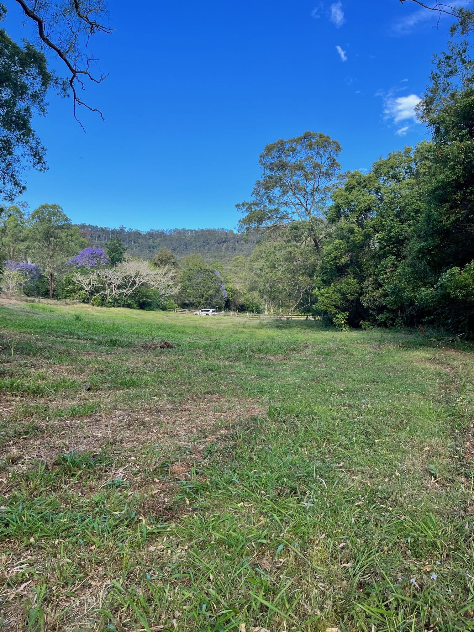Bluegum Drive, Wonglepong QLD 4275, Wonglepong - Thumbnail 5