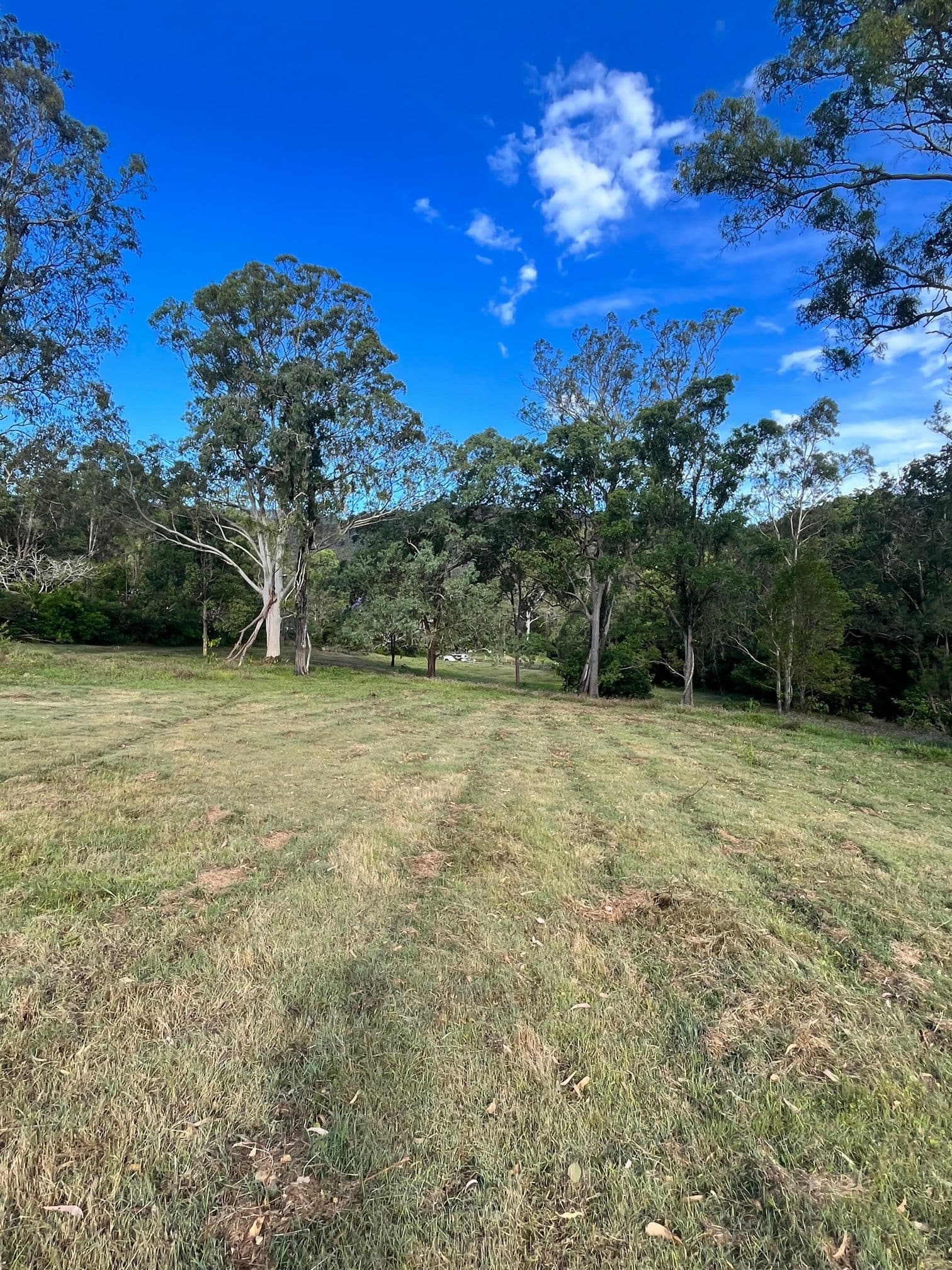 Bluegum Drive, Wonglepong QLD 4275, Wonglepong - Thumbnail 6