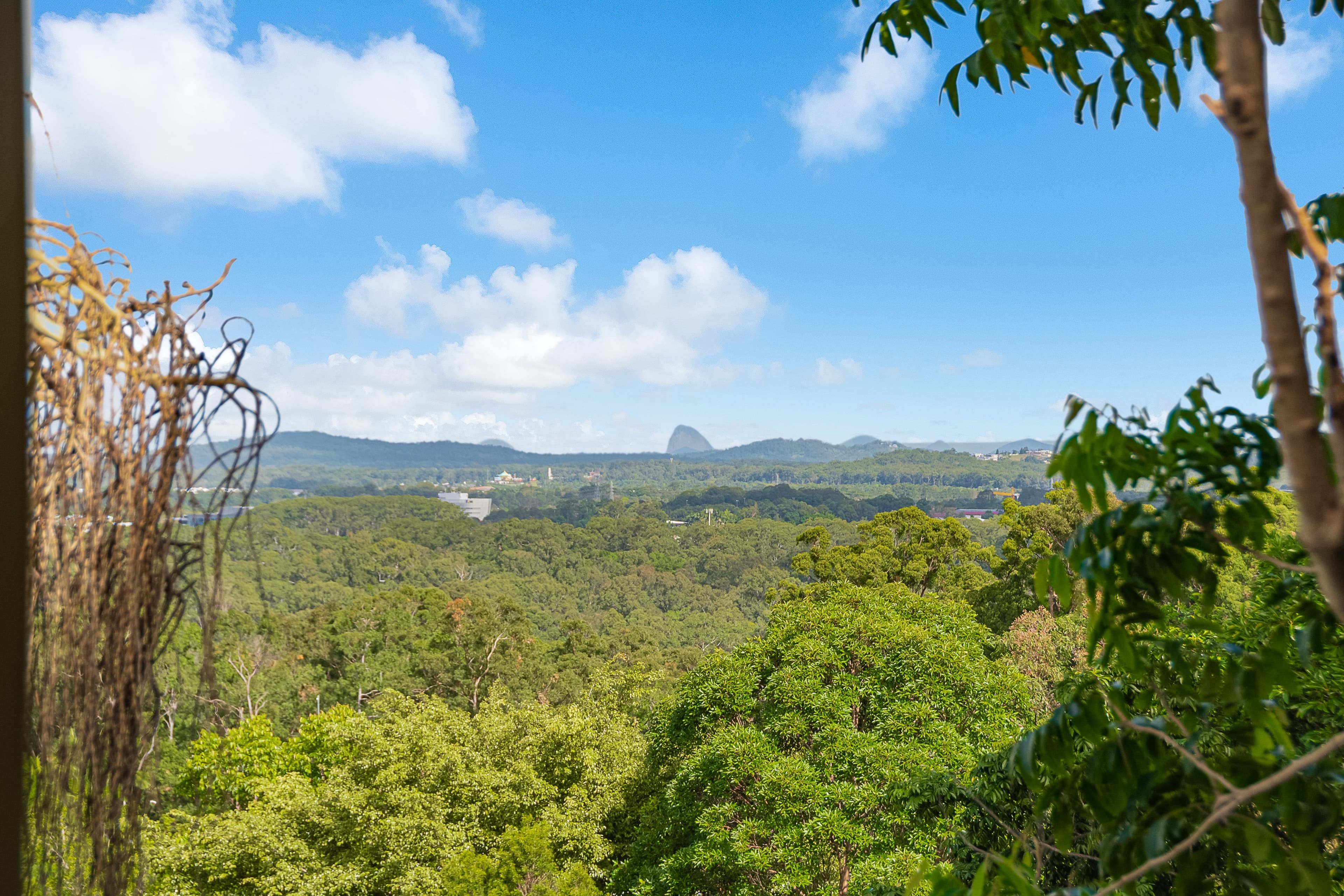 98 Dixon Road, Buderim QLD 4556, Buderim - Thumbnail 5